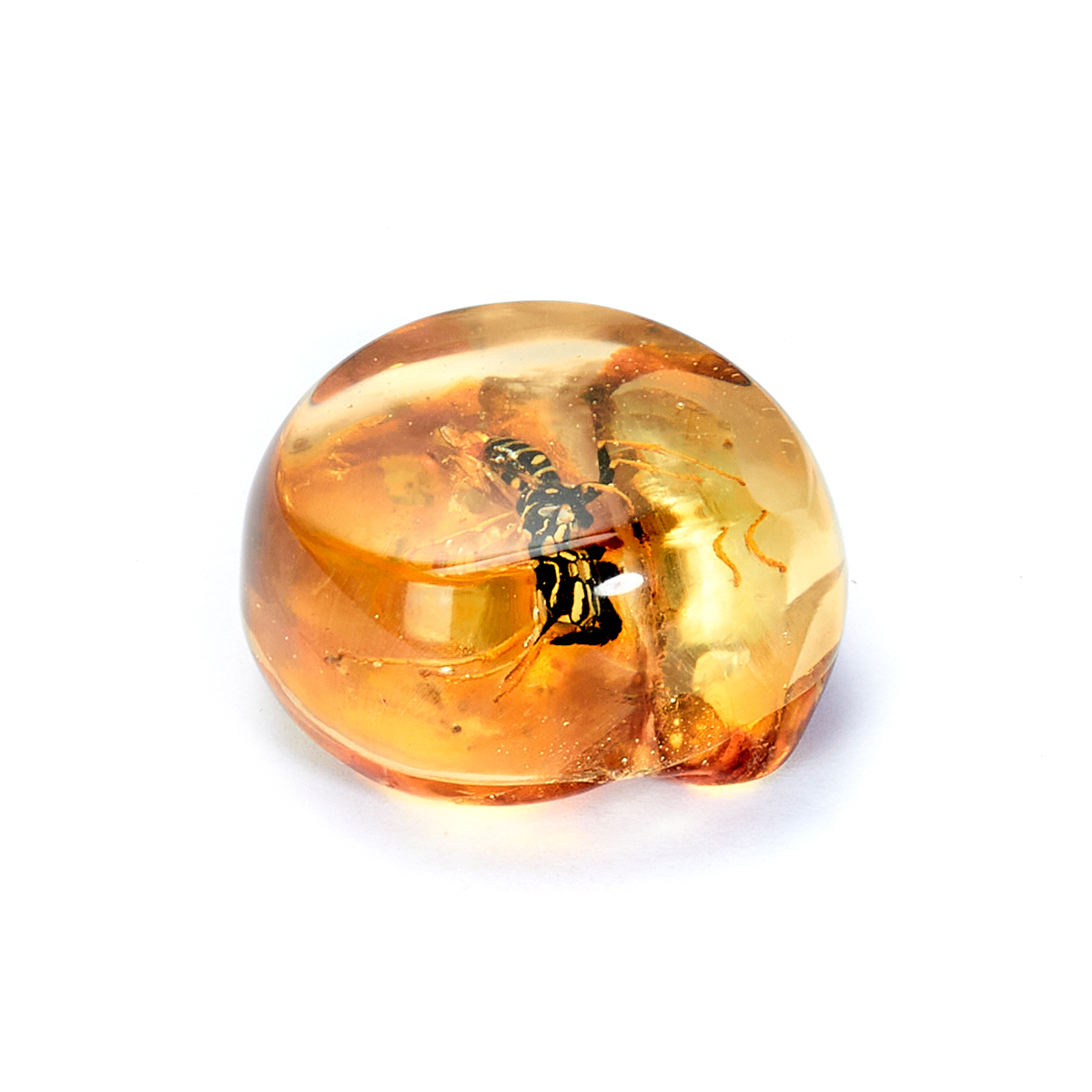 610252300_2 копия